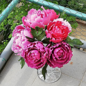 peonies.png